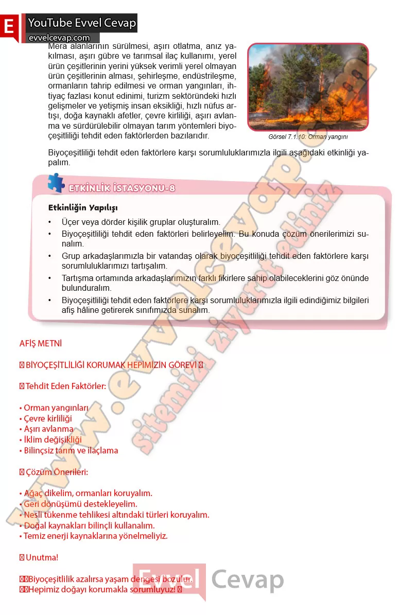 6-sinif-fen-bilimleri-ders-kitabi-cevabi-meb-yayinlari-2-kitap-sayfa-109