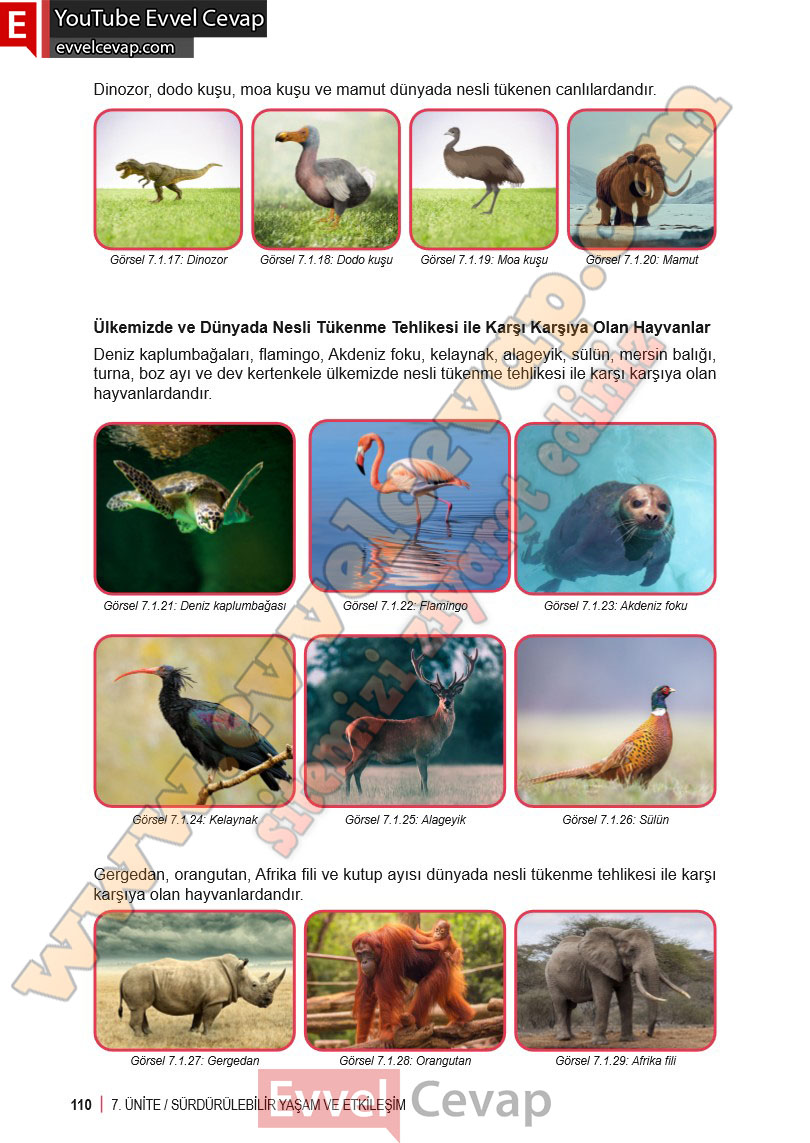 6-sinif-fen-bilimleri-ders-kitabi-cevabi-meb-yayinlari-2-kitap-sayfa-110