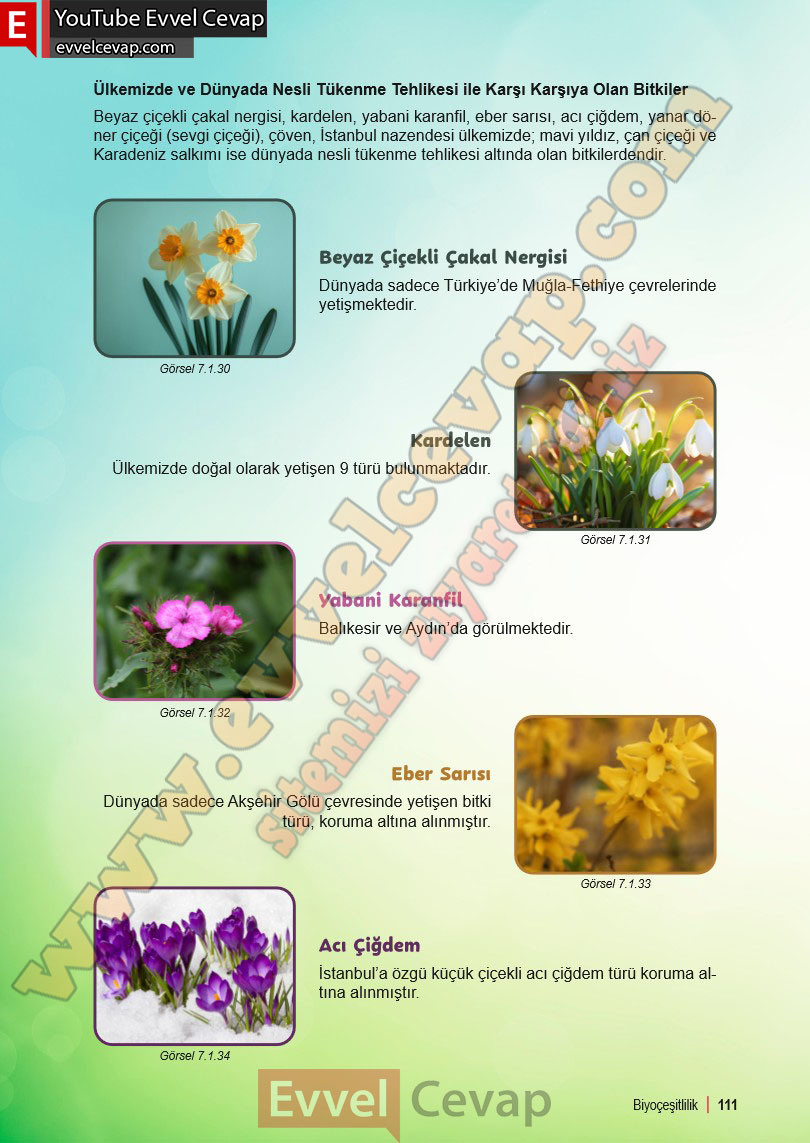 6-sinif-fen-bilimleri-ders-kitabi-cevabi-meb-yayinlari-2-kitap-sayfa-111