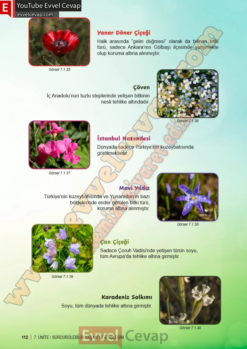 6-sinif-fen-bilimleri-ders-kitabi-cevabi-meb-yayinlari-2-kitap-sayfa-112