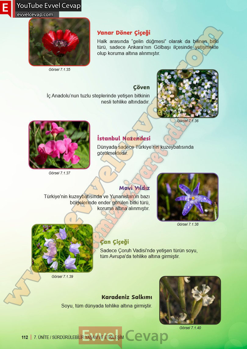 6-sinif-fen-bilimleri-ders-kitabi-cevabi-meb-yayinlari-2-kitap-sayfa-112
