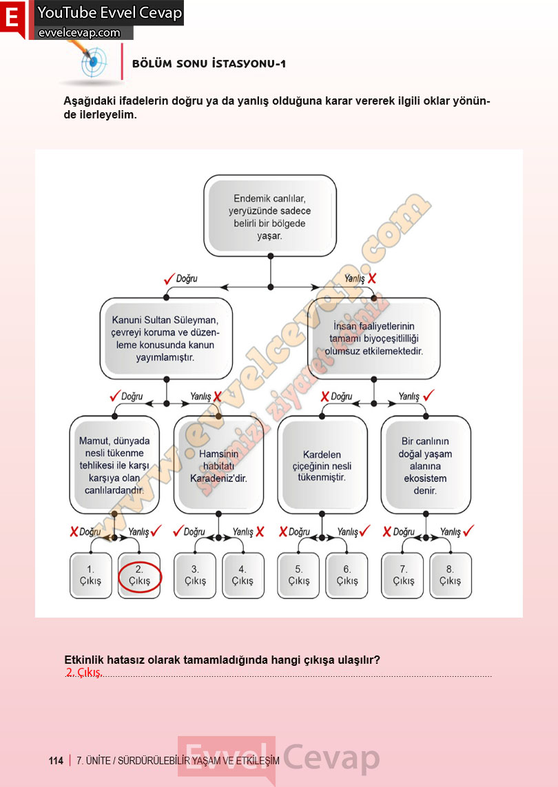 6-sinif-fen-bilimleri-ders-kitabi-cevabi-meb-yayinlari-2-kitap-sayfa-114