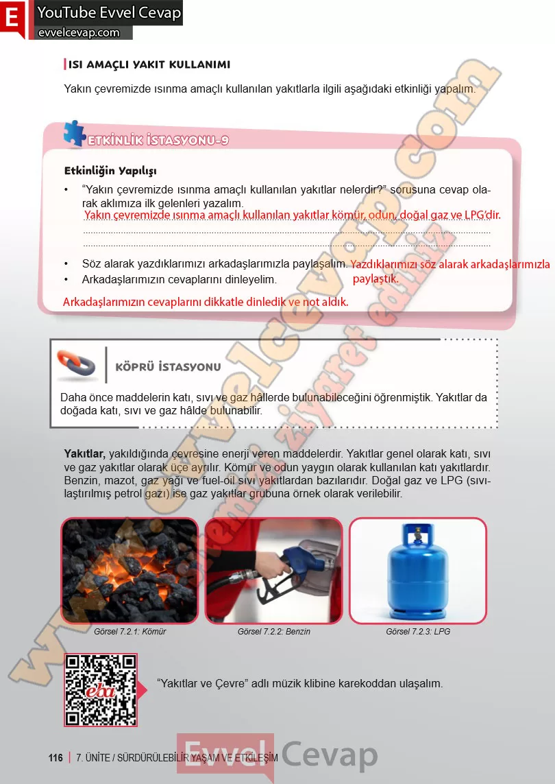 6-sinif-fen-bilimleri-ders-kitabi-cevabi-meb-yayinlari-2-kitap-sayfa-116