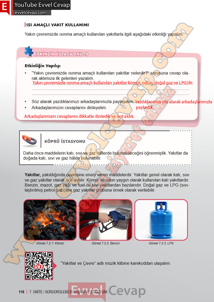 6-sinif-fen-bilimleri-ders-kitabi-cevabi-meb-yayinlari-2-kitap-sayfa-116