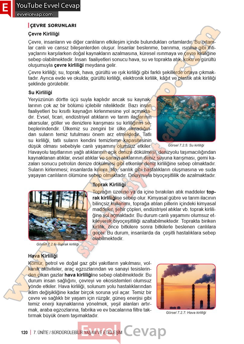 6-sinif-fen-bilimleri-ders-kitabi-cevabi-meb-yayinlari-2-kitap-sayfa-120