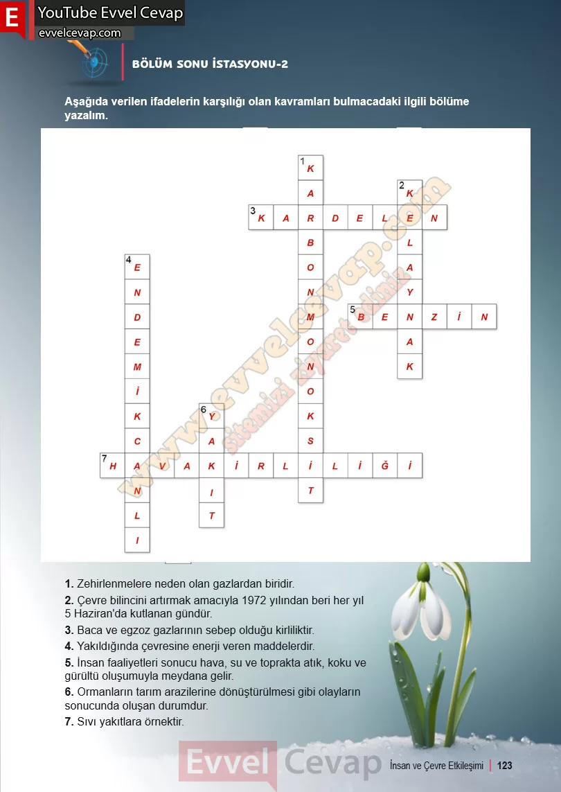 6-sinif-fen-bilimleri-ders-kitabi-cevabi-meb-yayinlari-2-kitap-sayfa-123