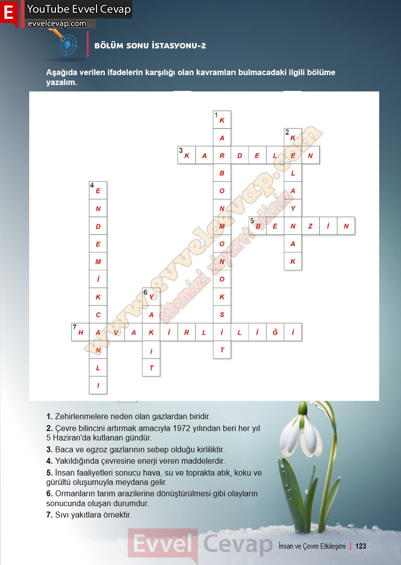6-sinif-fen-bilimleri-ders-kitabi-cevabi-meb-yayinlari-2-kitap-sayfa-123