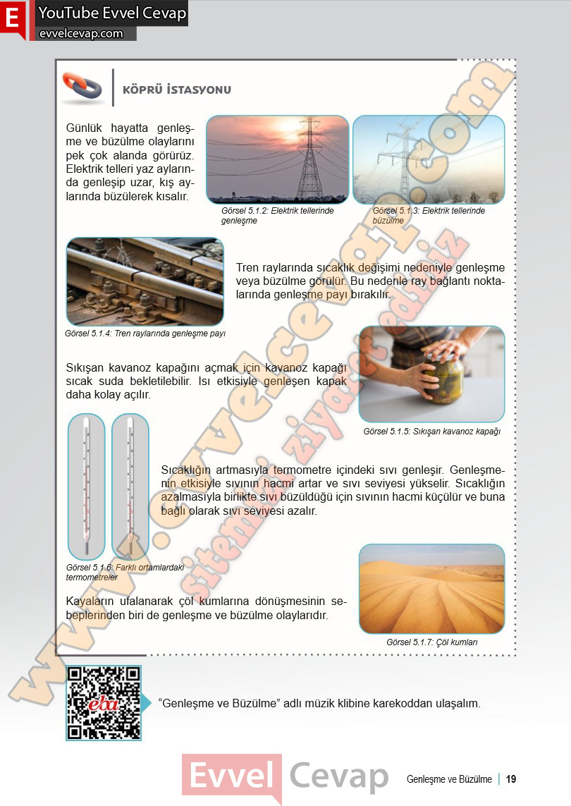 6-sinif-fen-bilimleri-ders-kitabi-cevabi-meb-yayinlari-2-kitap-sayfa-19