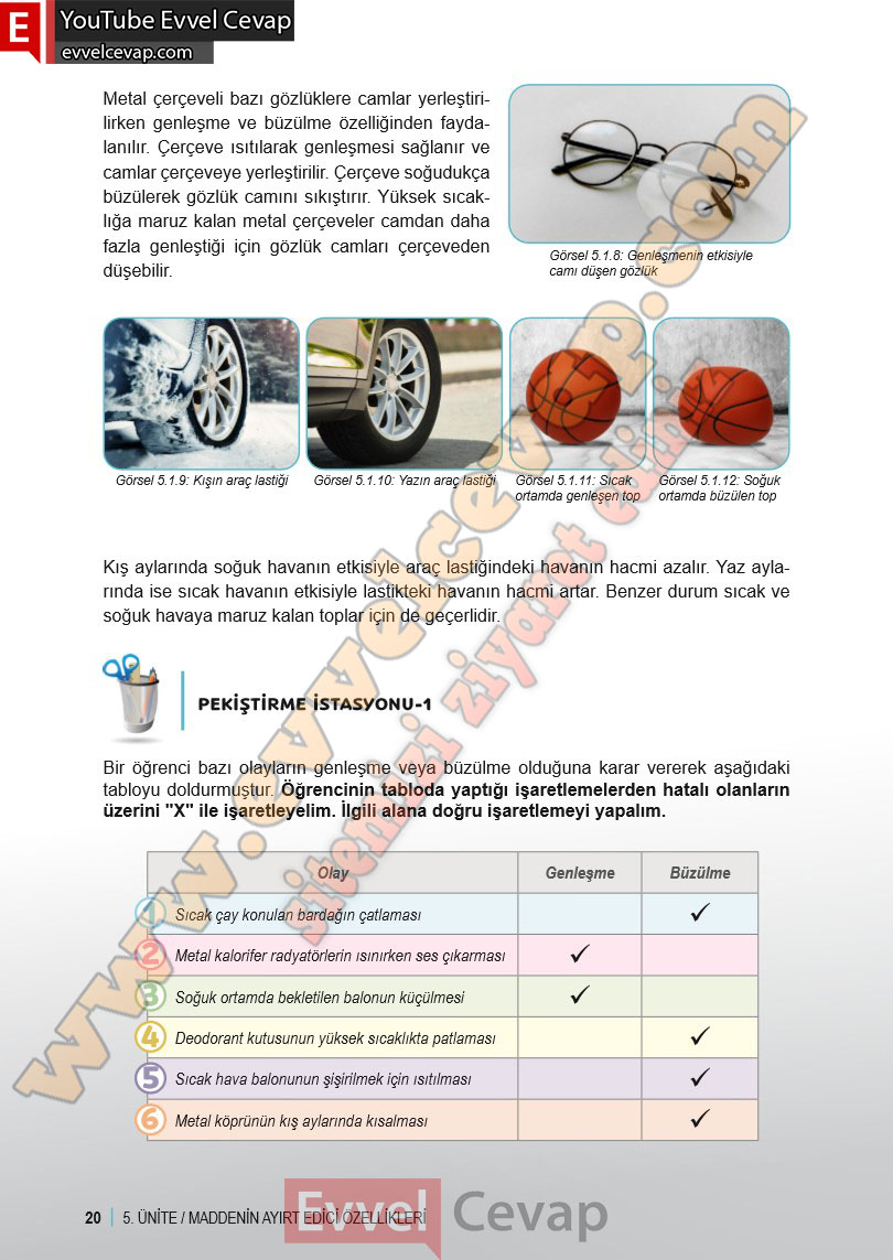 6-sinif-fen-bilimleri-ders-kitabi-cevabi-meb-yayinlari-2-kitap-sayfa-20