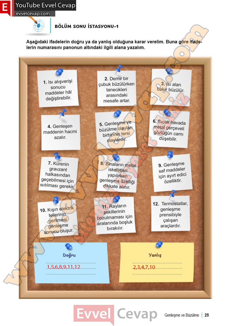 6-sinif-fen-bilimleri-ders-kitabi-cevabi-meb-yayinlari-2-kitap-sayfa-25