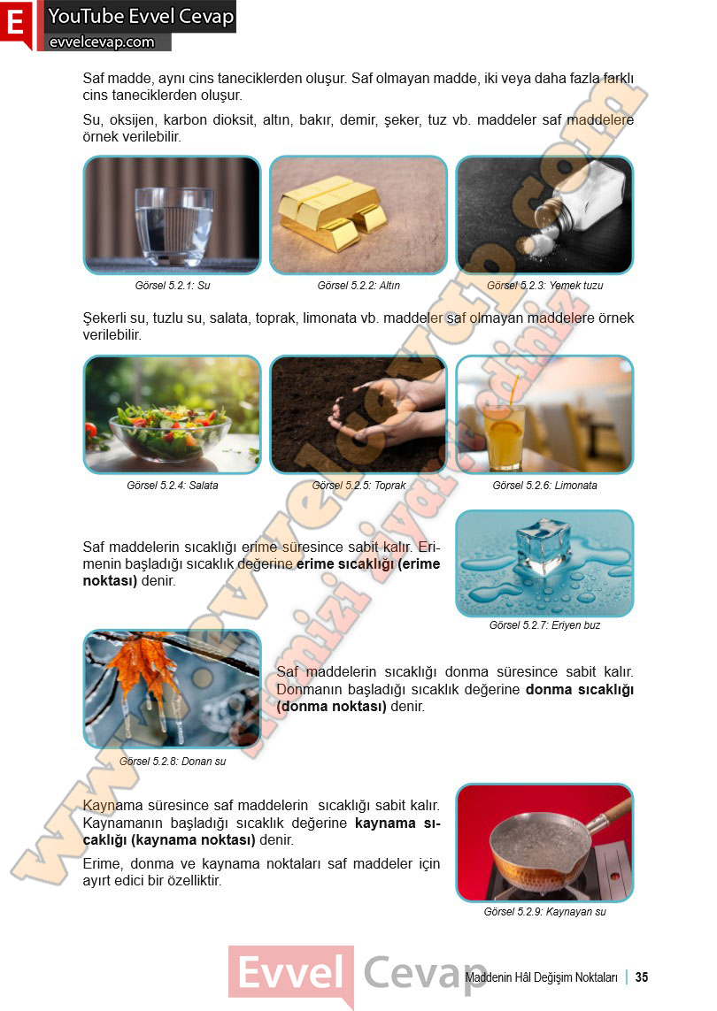 6-sinif-fen-bilimleri-ders-kitabi-cevabi-meb-yayinlari-2-kitap-sayfa-35