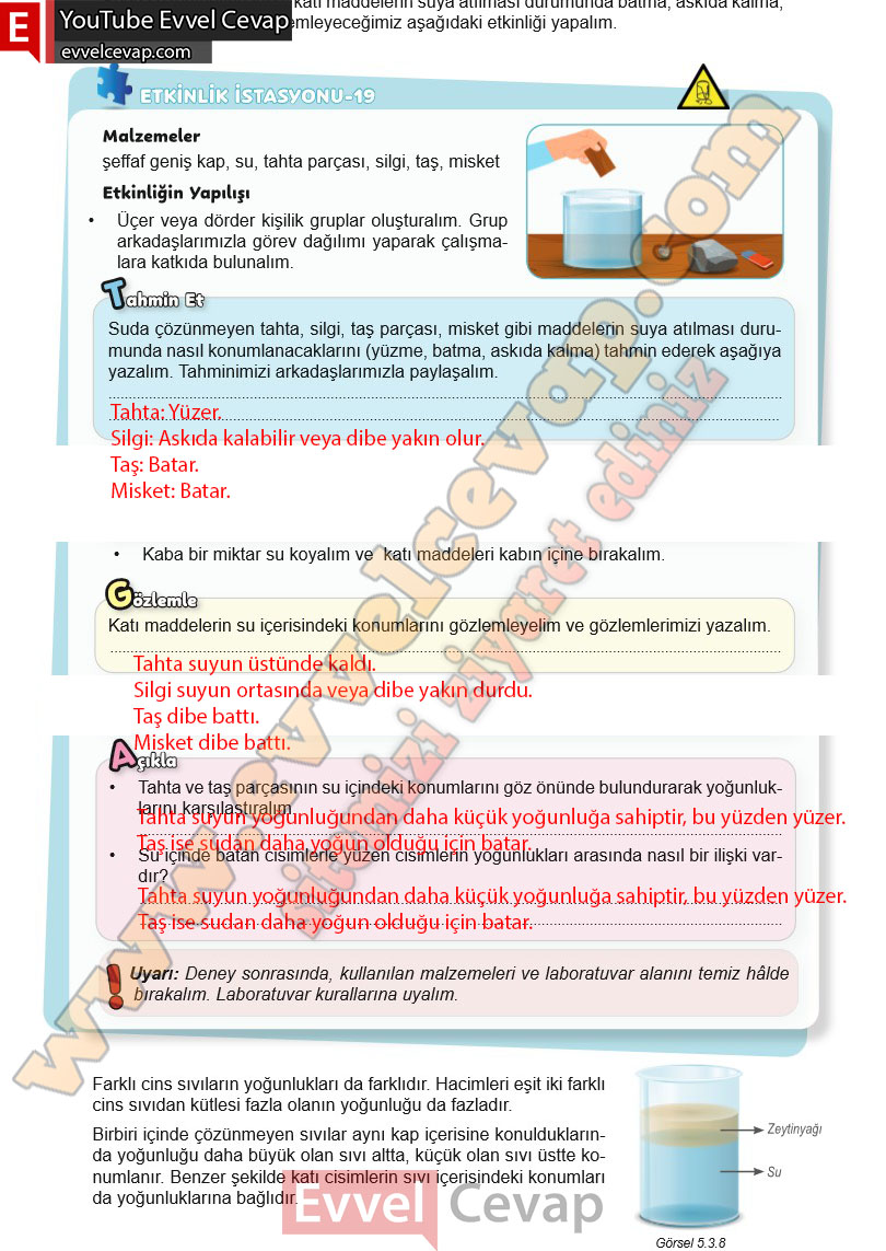 6-sinif-fen-bilimleri-ders-kitabi-cevabi-meb-yayinlari-2-kitap-sayfa-50
