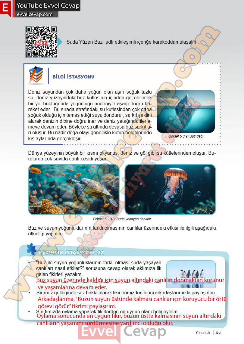 6-sinif-fen-bilimleri-ders-kitabi-cevabi-meb-yayinlari-2-kitap-sayfa-55