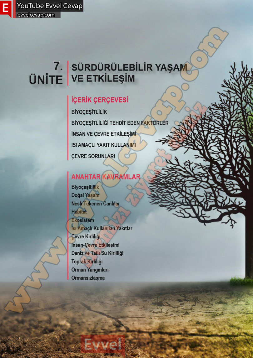 6-sinif-fen-bilimleri-ders-kitabi-cevabi-meb-yayinlari-2-kitap-sayfa-96