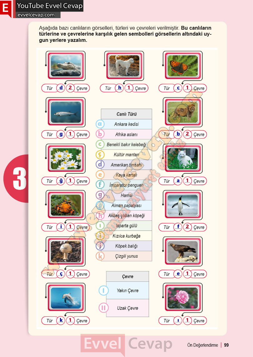 6-sinif-fen-bilimleri-ders-kitabi-cevabi-meb-yayinlari-2-kitap-sayfa-99