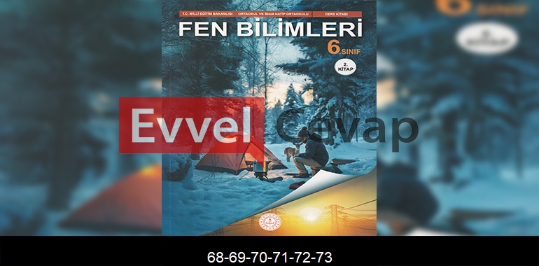 6. Sınıf Fen Bilimleri Ders Kitabı Cevapları Meb Yayınları (2. Kitap) Sayfa 68-69-70-71-72-73
