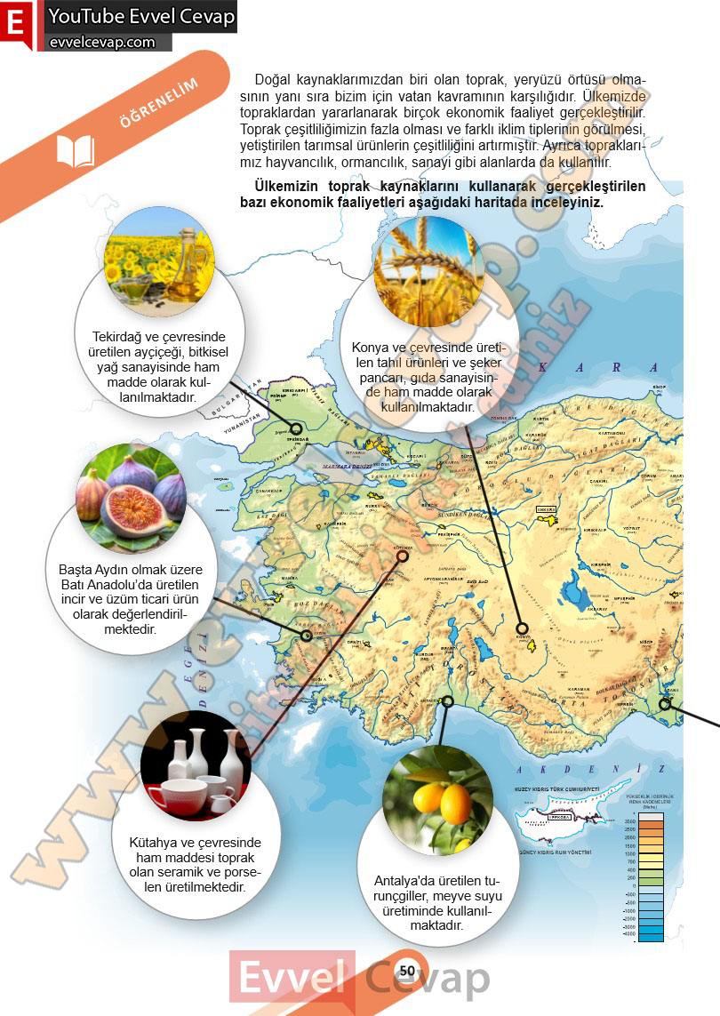 6-sinif-sosyal-bilgiler-ders-kitabi-cevabi-meb-yayinlari-2-kitap-sayfa-50