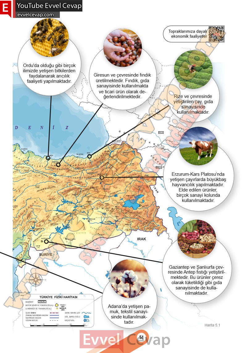 6-sinif-sosyal-bilgiler-ders-kitabi-cevabi-meb-yayinlari-2-kitap-sayfa-51
