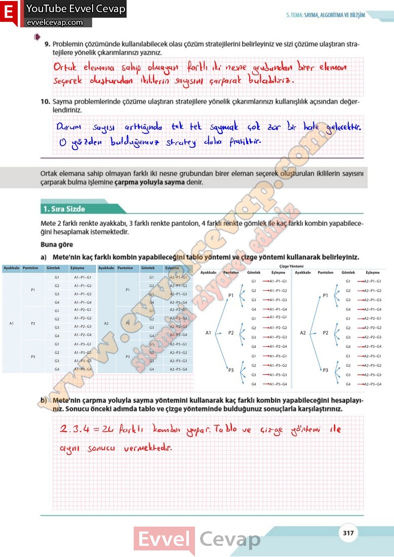 10-sinif-matematik-kitabi-cevabi-meb-yayinlari-sayfa-317