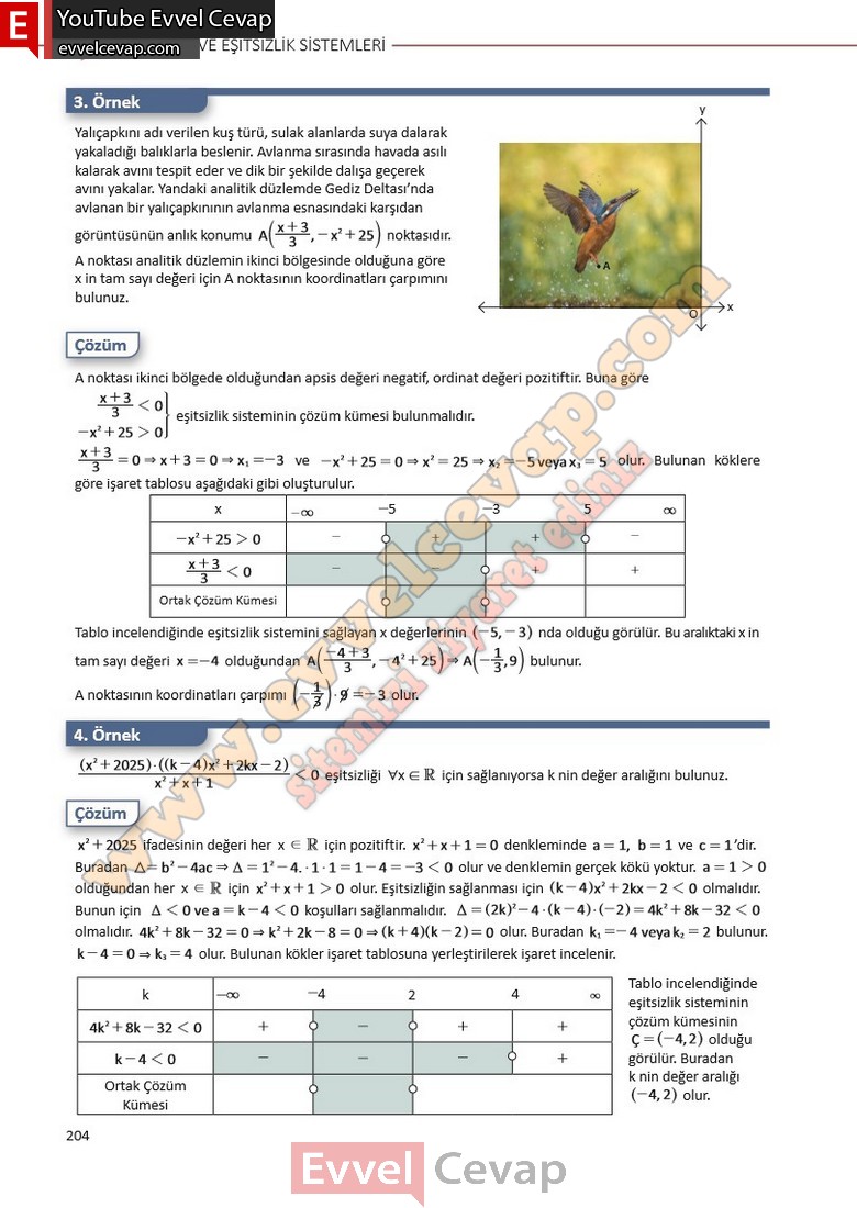 11-sinif-matematik-ders-kitabi-cevabi-sayfa-204