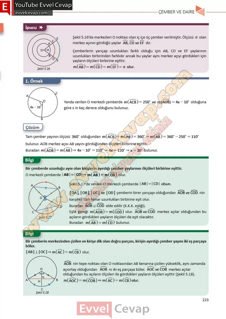 11-sinif-matematik-ders-kitabi-cevabi-sayfa-223