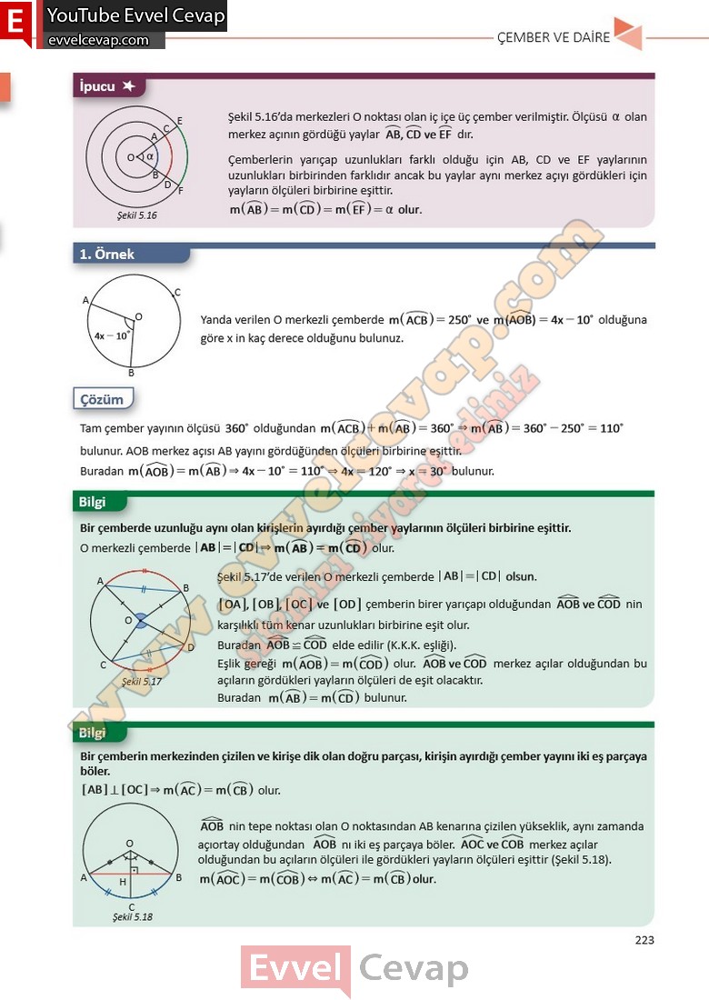 11-sinif-matematik-ders-kitabi-cevabi-sayfa-223
