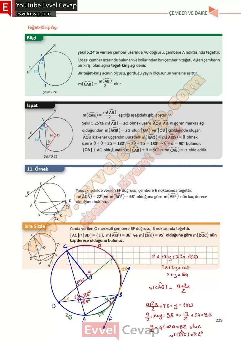11-sinif-matematik-ders-kitabi-cevabi-sayfa-229