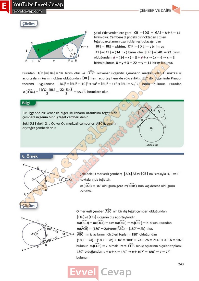 11-sinif-matematik-ders-kitabi-cevabi-sayfa-243