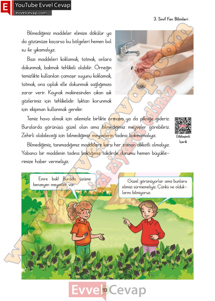 3-sinif-fen-bilimleri-ders-kitabi-cevaplari-cem-yayincilik-sayfa-113