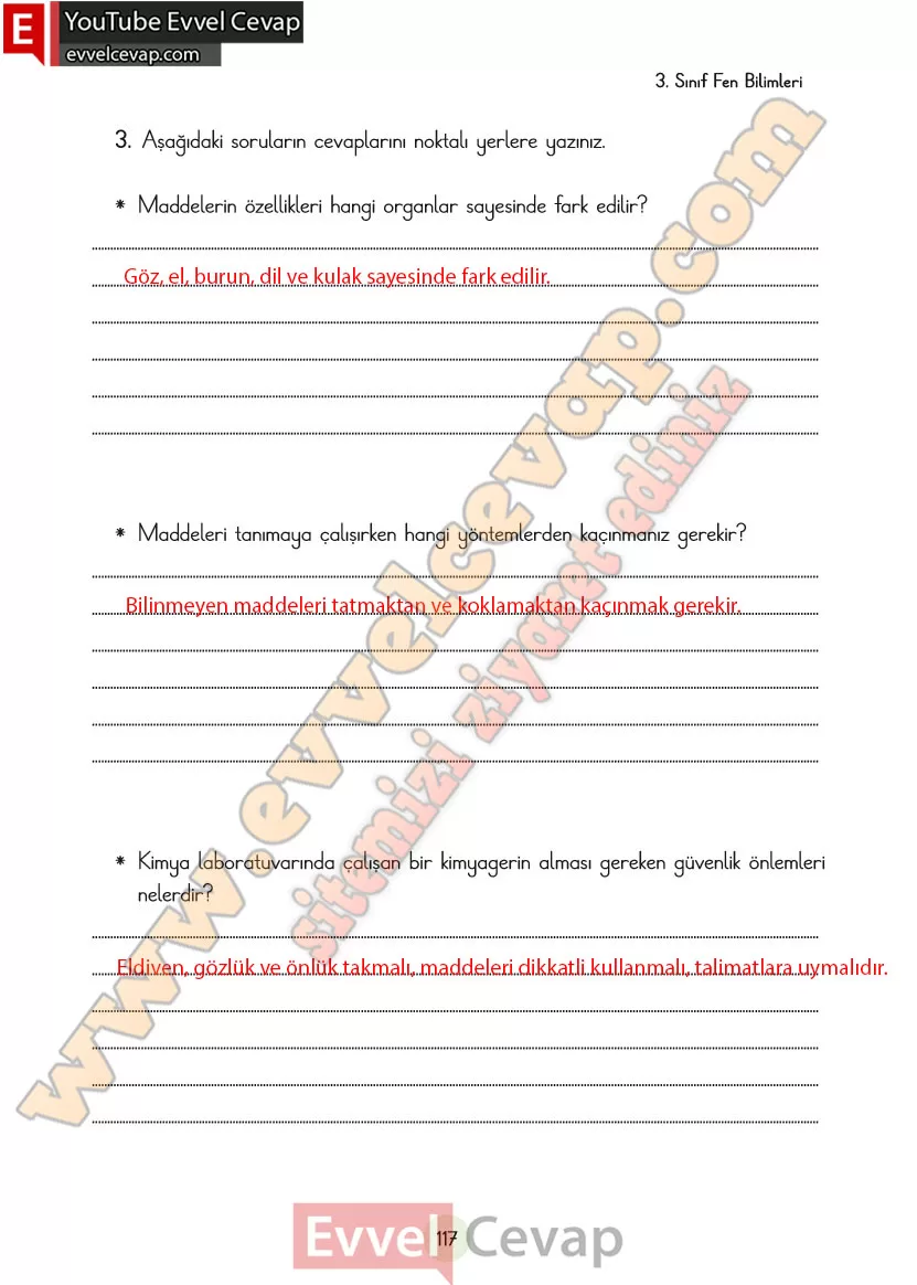 3-sinif-fen-bilimleri-ders-kitabi-cevaplari-cem-yayincilik-sayfa-117