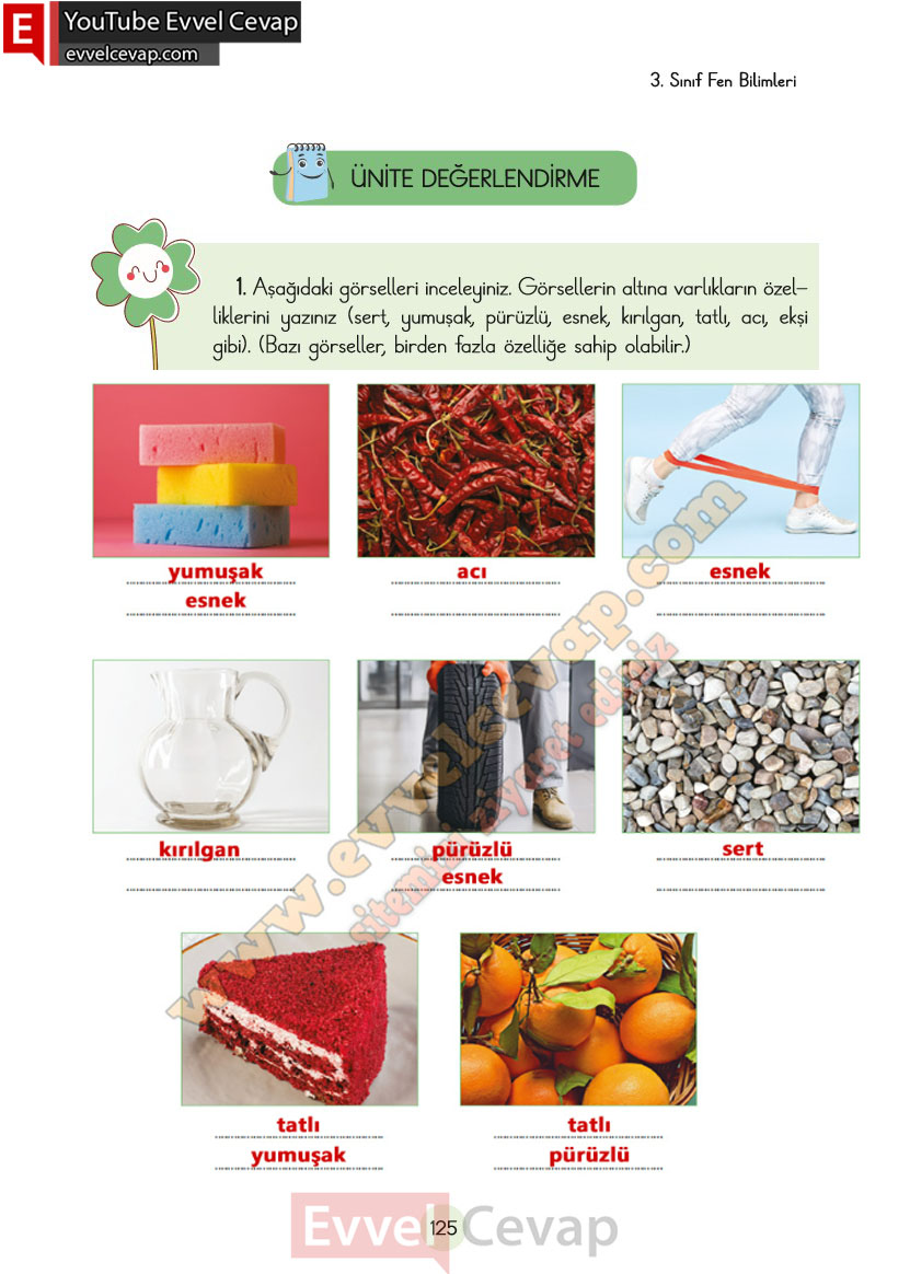 3-sinif-fen-bilimleri-ders-kitabi-cevaplari-cem-yayincilik-sayfa-125