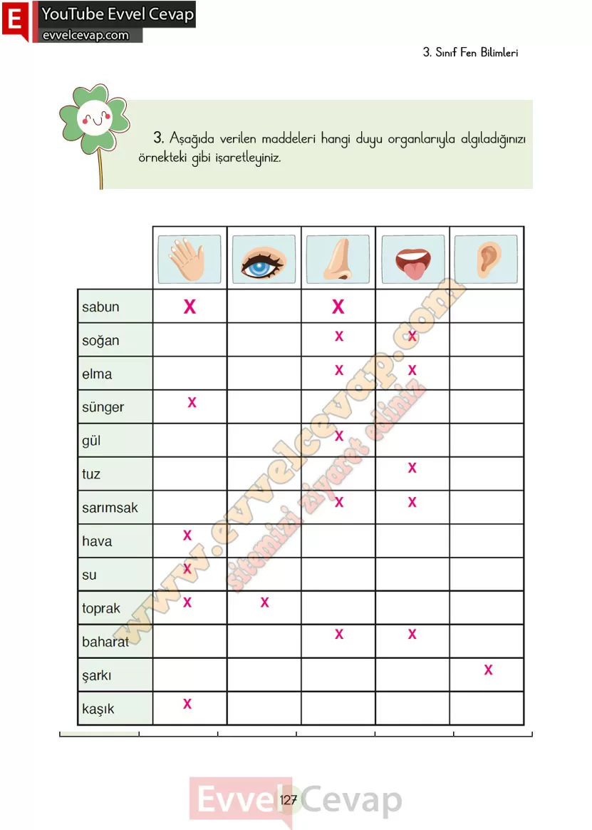 3-sinif-fen-bilimleri-ders-kitabi-cevaplari-cem-yayincilik-sayfa-127