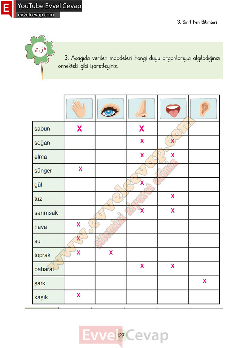 3-sinif-fen-bilimleri-ders-kitabi-cevaplari-cem-yayincilik-sayfa-127