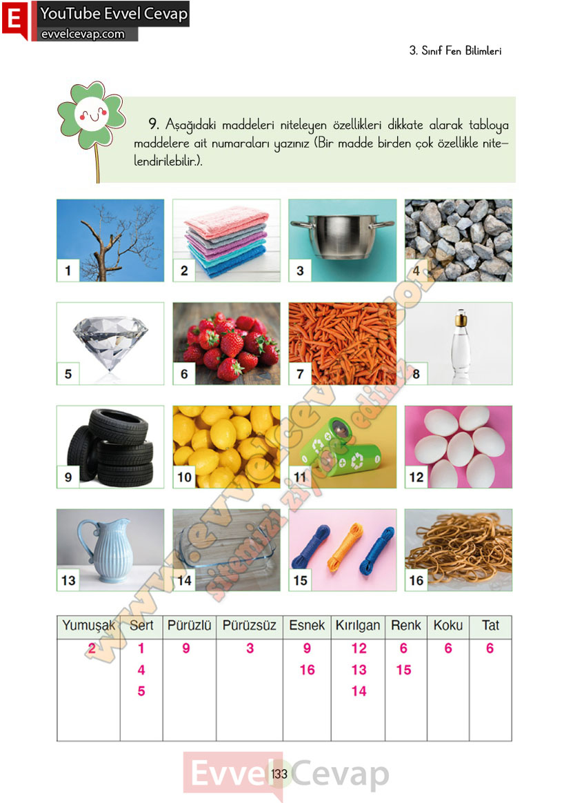 3-sinif-fen-bilimleri-ders-kitabi-cevaplari-cem-yayincilik-sayfa-133