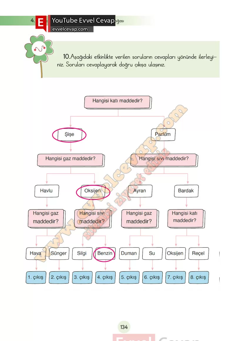 3-sinif-fen-bilimleri-ders-kitabi-cevaplari-cem-yayincilik-sayfa-134