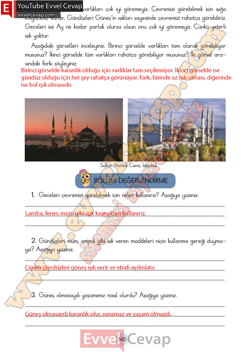 3-sinif-fen-bilimleri-ders-kitabi-cevaplari-cem-yayincilik-sayfa-145