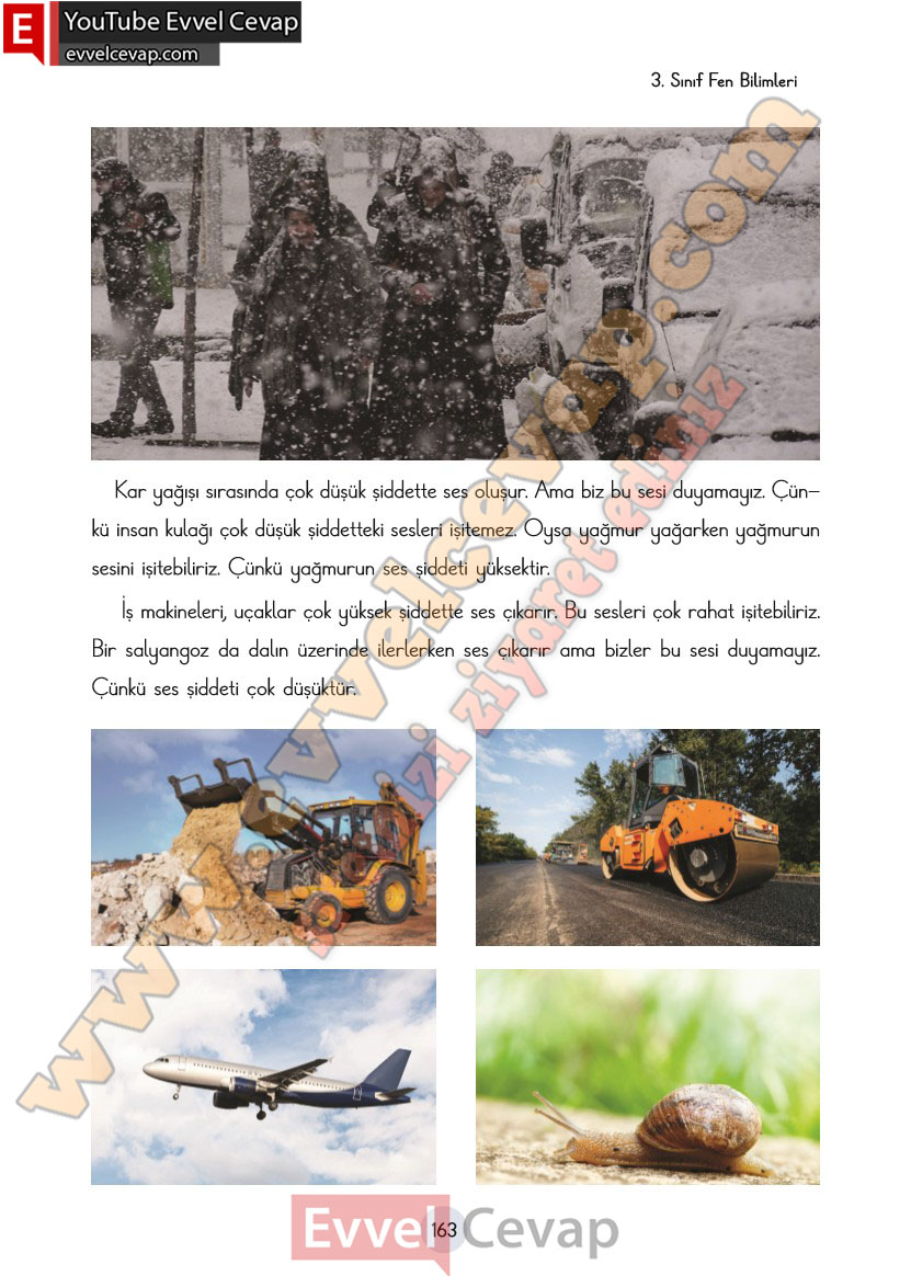 3-sinif-fen-bilimleri-ders-kitabi-cevaplari-cem-yayincilik-sayfa-163