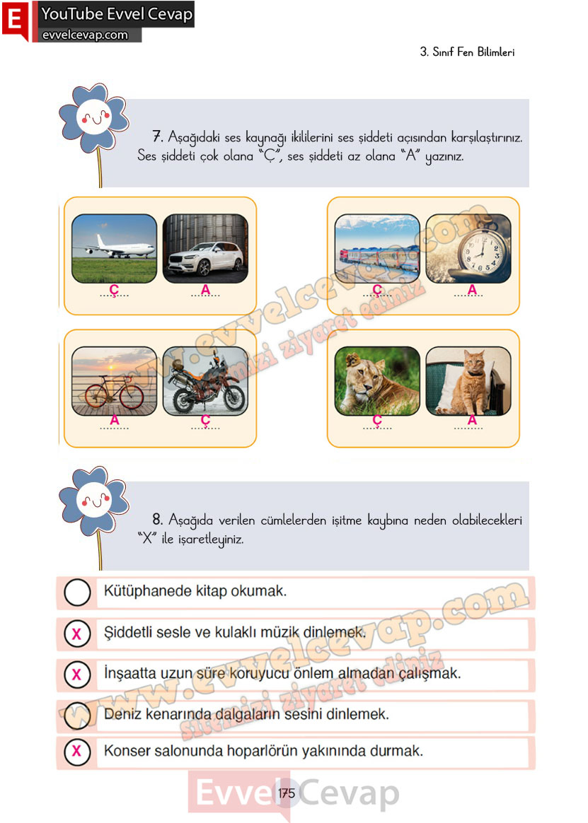 3-sinif-fen-bilimleri-ders-kitabi-cevaplari-cem-yayincilik-sayfa-175