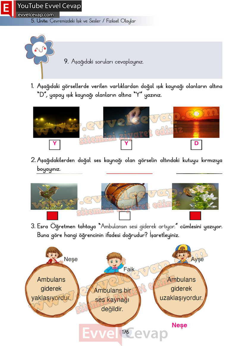 3-sinif-fen-bilimleri-ders-kitabi-cevaplari-cem-yayincilik-sayfa-176