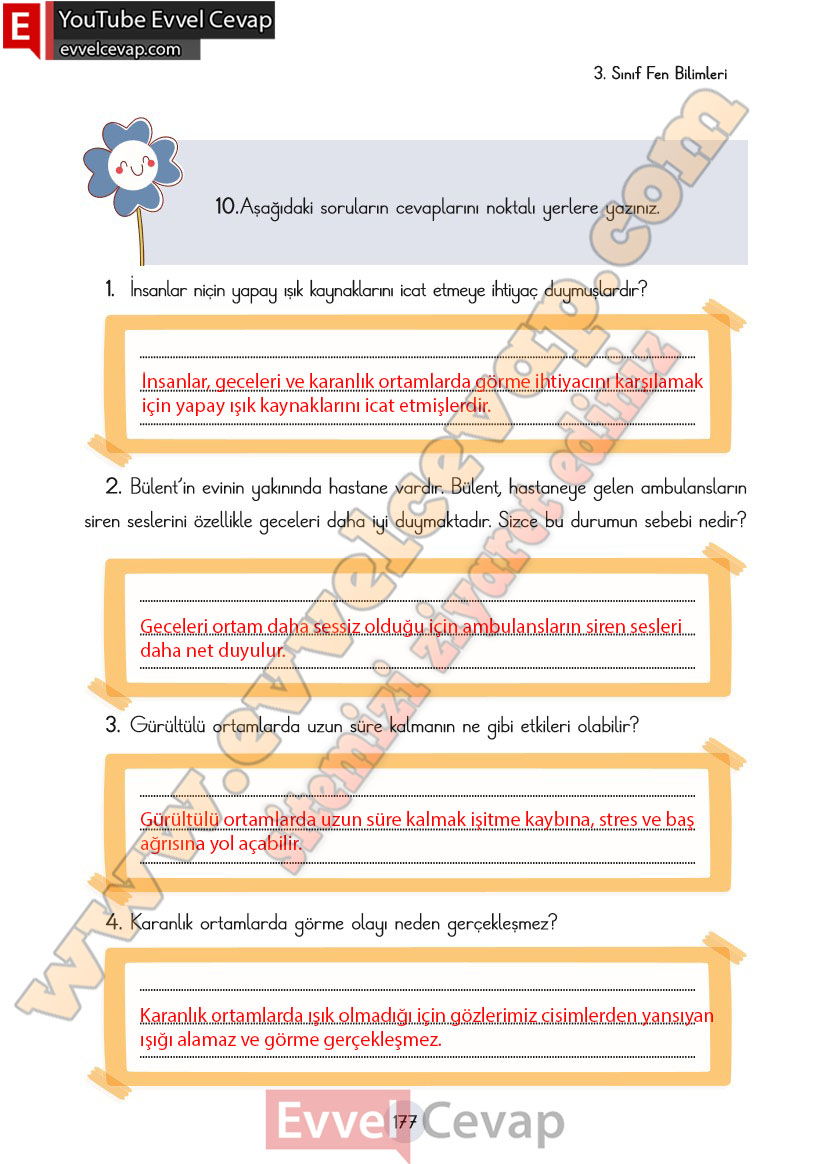 3-sinif-fen-bilimleri-ders-kitabi-cevaplari-cem-yayincilik-sayfa-177