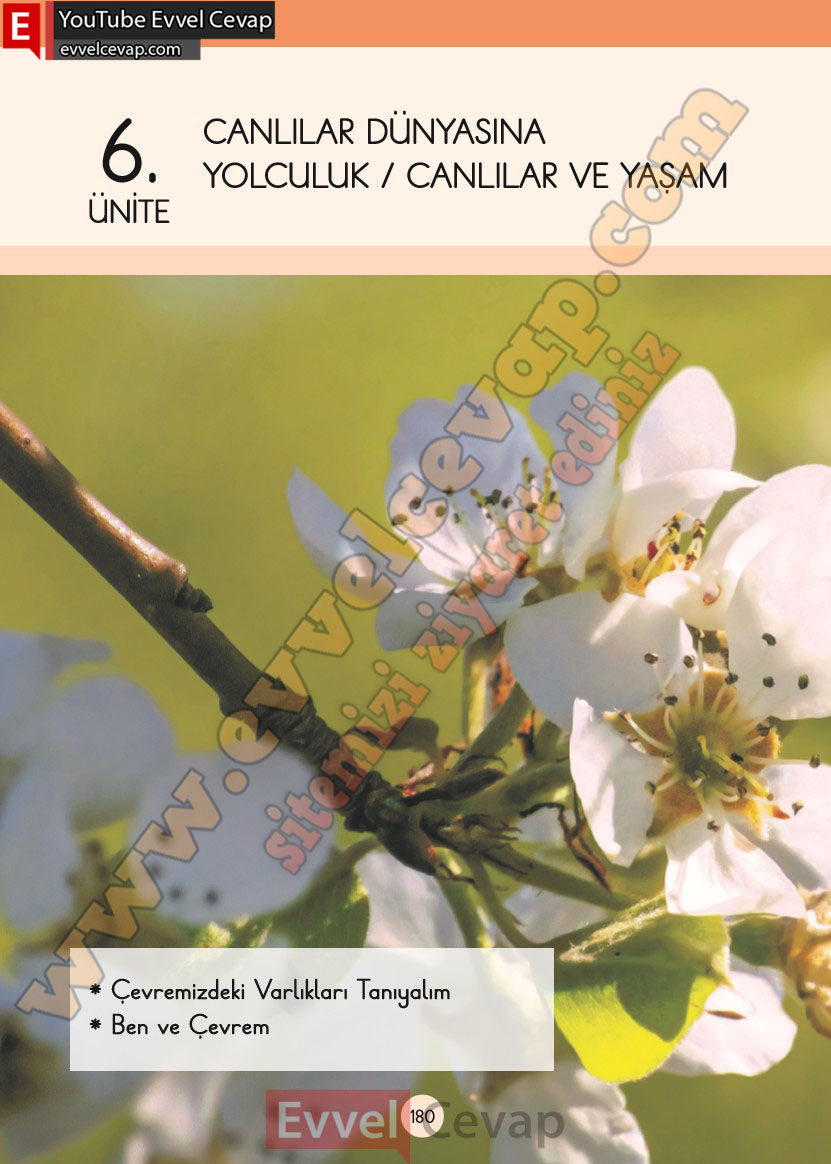 3-sinif-fen-bilimleri-ders-kitabi-cevaplari-cem-yayincilik-sayfa-180