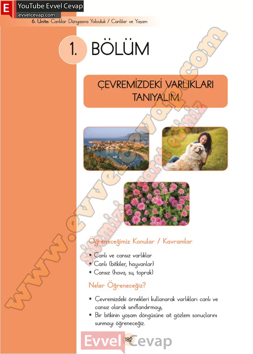 3-sinif-fen-bilimleri-ders-kitabi-cevaplari-cem-yayincilik-sayfa-182