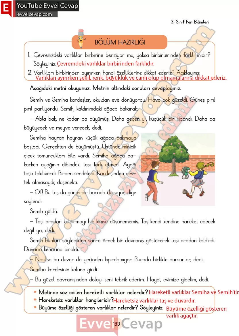 3-sinif-fen-bilimleri-ders-kitabi-cevaplari-cem-yayincilik-sayfa-183
