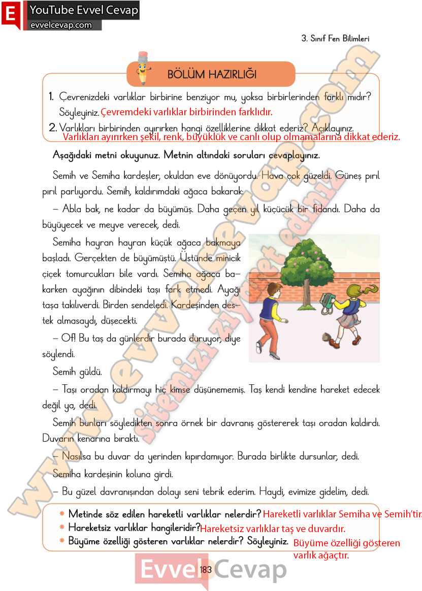 3-sinif-fen-bilimleri-ders-kitabi-cevaplari-cem-yayincilik-sayfa-183