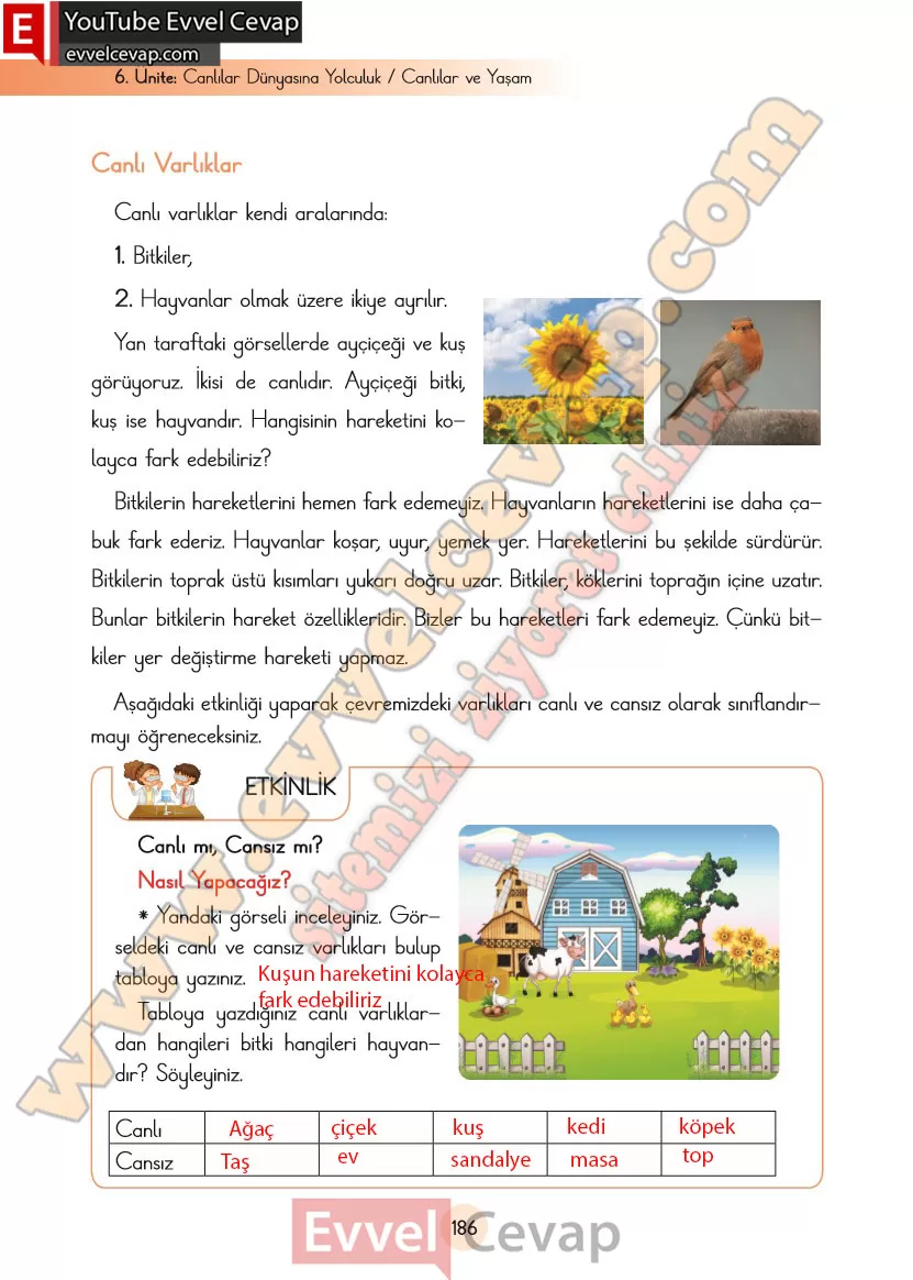 3-sinif-fen-bilimleri-ders-kitabi-cevaplari-cem-yayincilik-sayfa-186