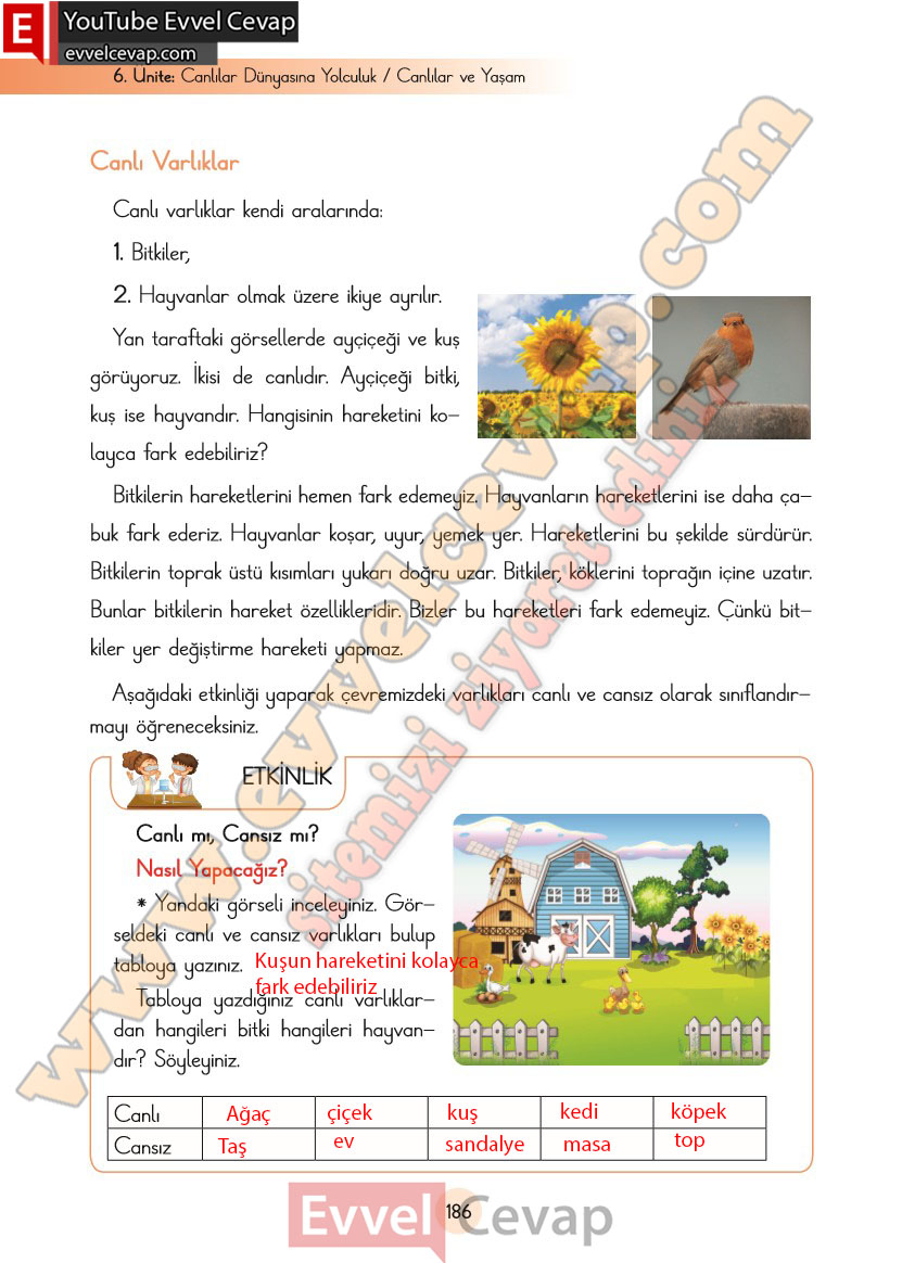 3-sinif-fen-bilimleri-ders-kitabi-cevaplari-cem-yayincilik-sayfa-186