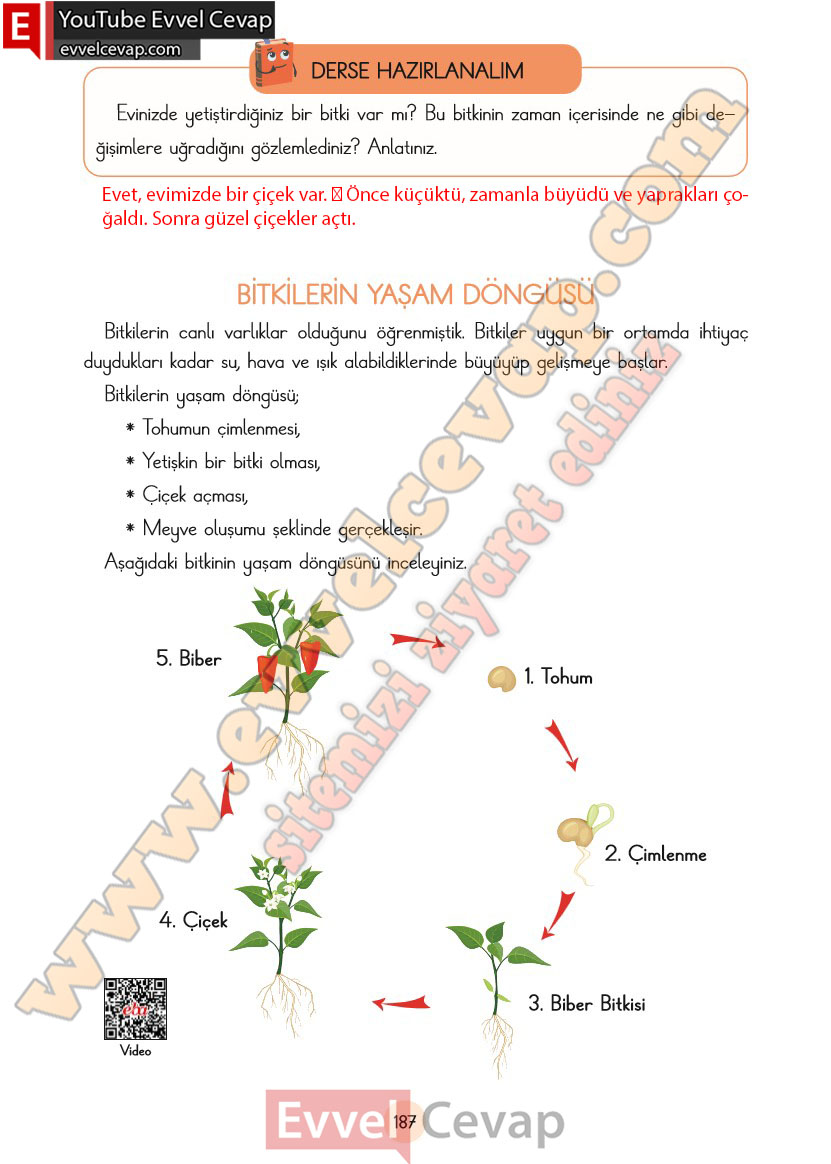 3-sinif-fen-bilimleri-ders-kitabi-cevaplari-cem-yayincilik-sayfa-187