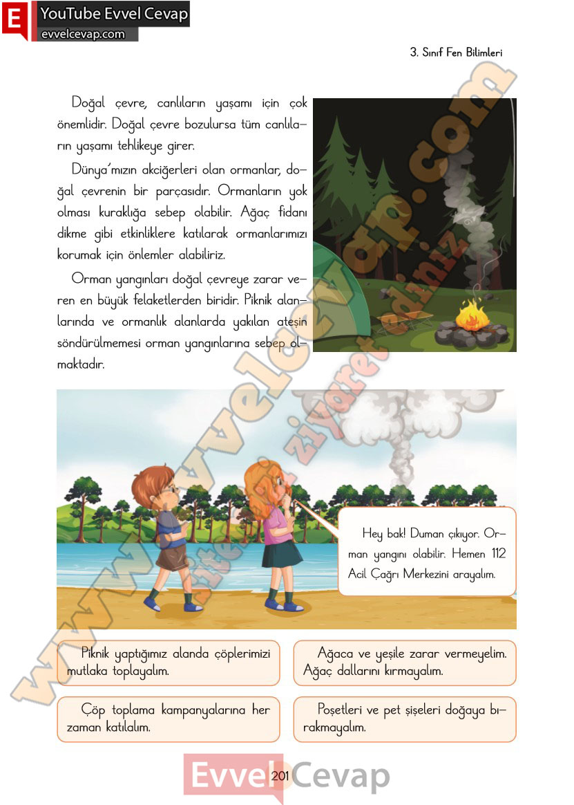 3-sinif-fen-bilimleri-ders-kitabi-cevaplari-cem-yayincilik-sayfa-201