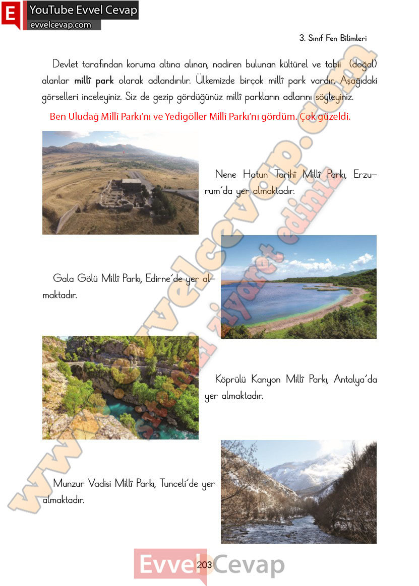 3-sinif-fen-bilimleri-ders-kitabi-cevaplari-cem-yayincilik-sayfa-203