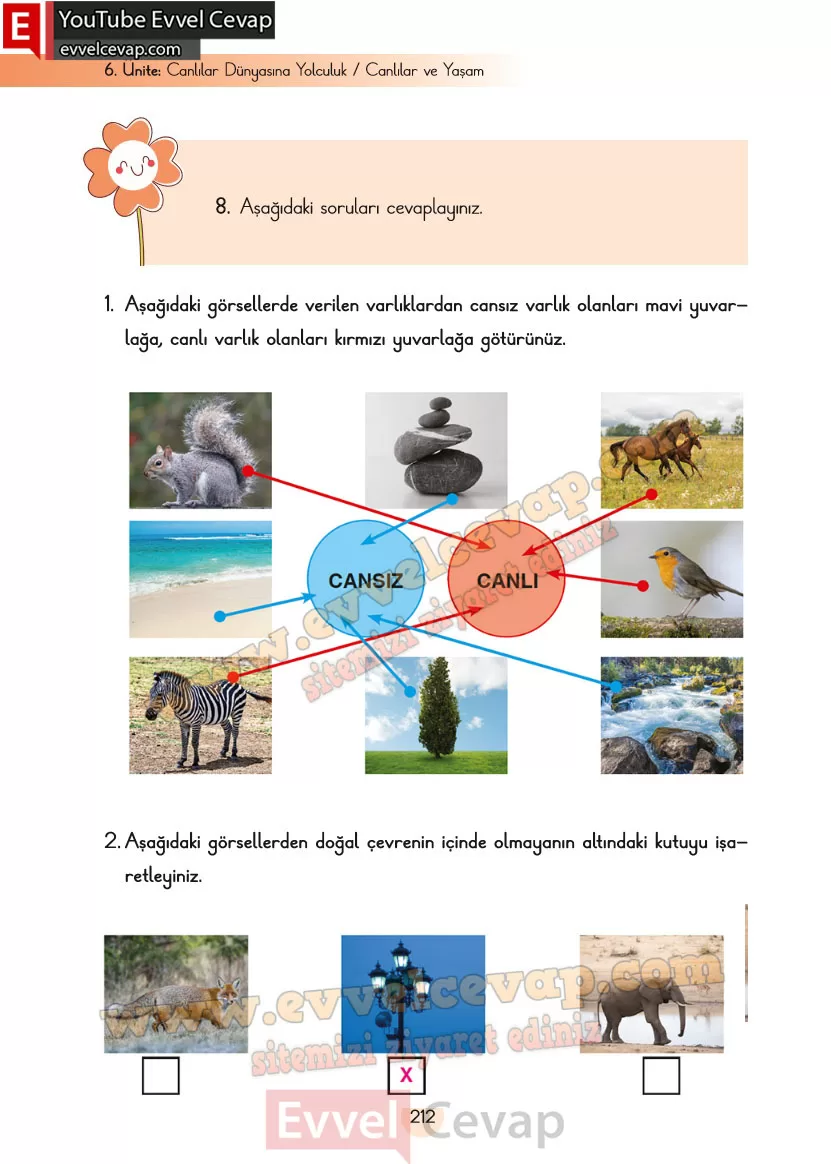 3-sinif-fen-bilimleri-ders-kitabi-cevaplari-cem-yayincilik-sayfa-212
